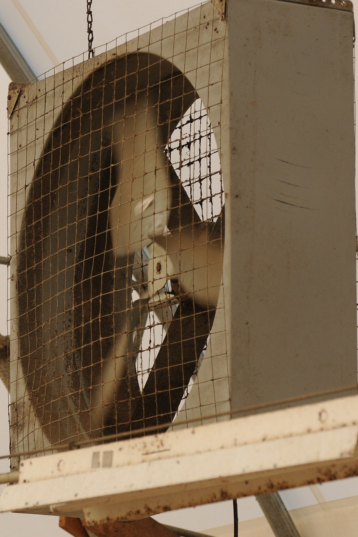 Ventilation Systems for Dairy Kid Housing Ontario Goat