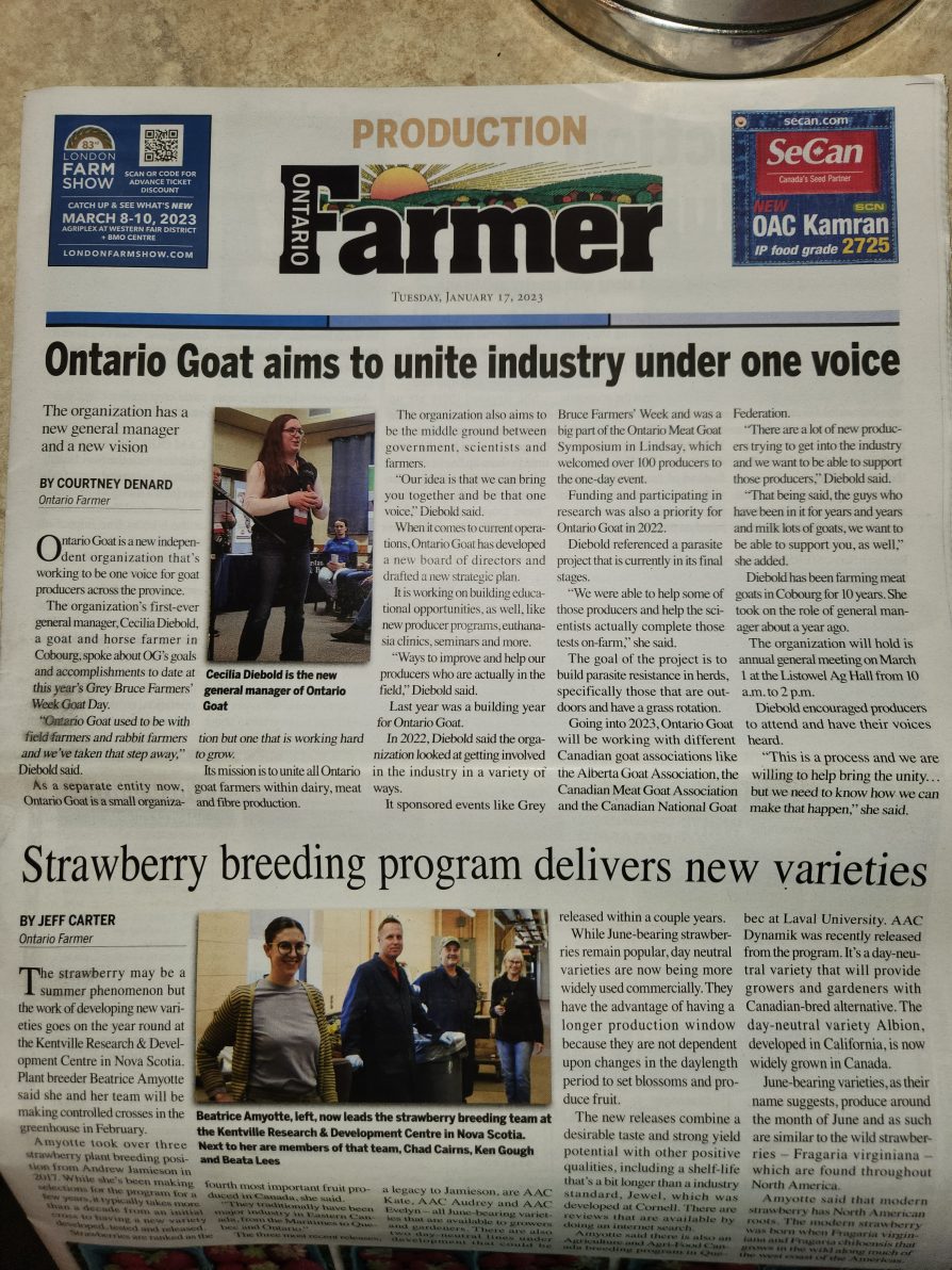 Ontario Farmer Article Ontario Goat